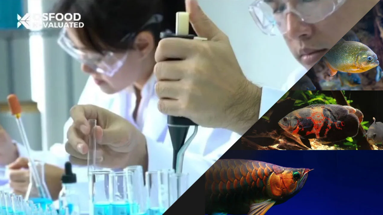 jual pakan ikan hias